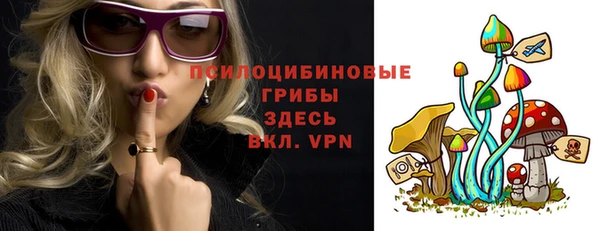 прущий лед Алексеевка