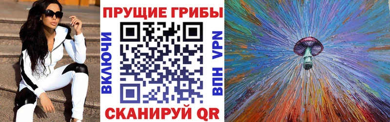 Псилоцибиновые грибы GOLDEN TEACHER  Купить где  Верхняя Тура 